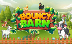 Bouncy Barn