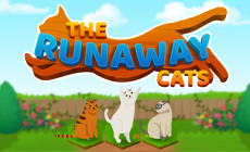 The Runaway Cats